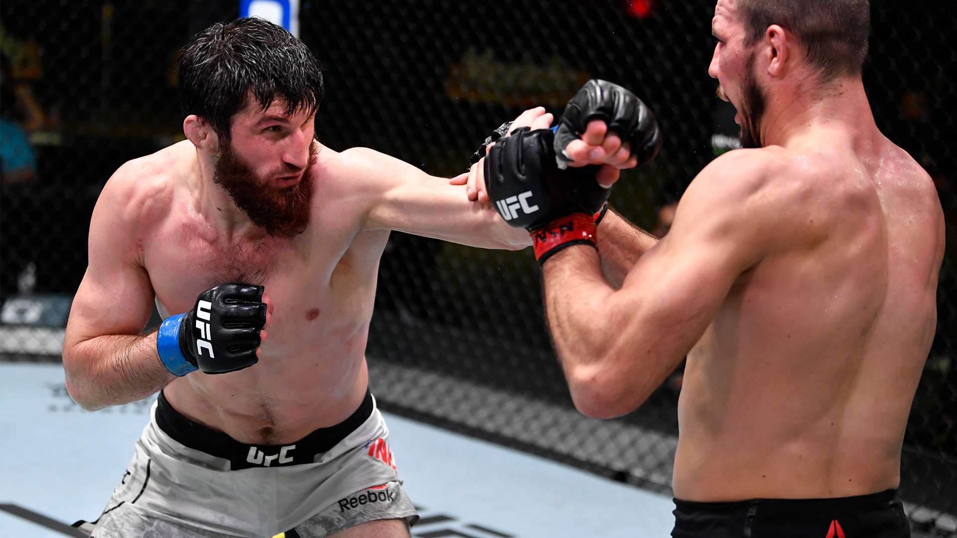 还是激烈的 还是激烈的